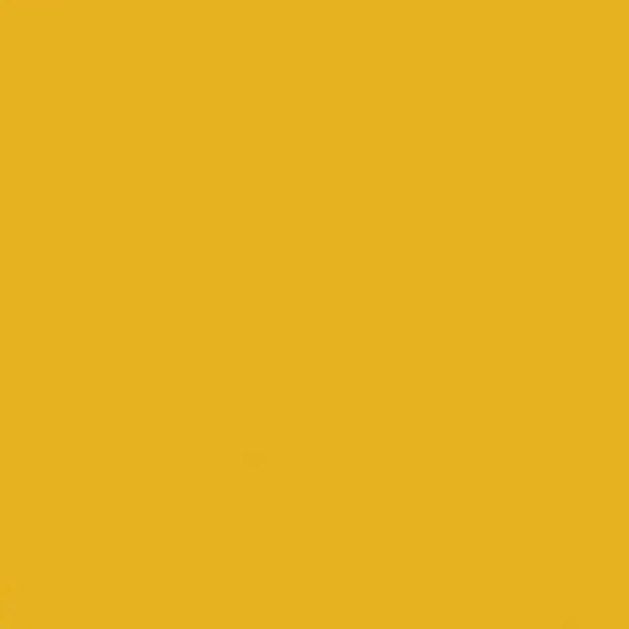 Honey Yellow Ral 1005